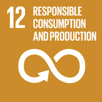 Responsible Consumption and Production