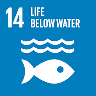 Life Below Water