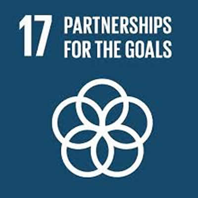 Partnership For The Goals