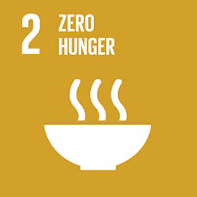 Zero Hunger