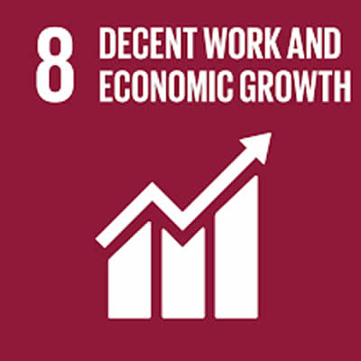 Decent Work and Economic Growth